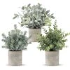 ROMAY 3 Pack Mini Potted Artificial Plants Fake Eucalyptus Greenery In Pots For Home Office Desk Decor -Green Leaf Store 518Oy7babOL