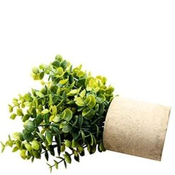 Green Leaf Store -Green Leaf Store 518iQJm4zsS