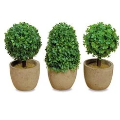 WHW Whole House Worlds Realistic Faux Boxwood Sculptural Topiary, Set Of 3, Curly Leaf, Cone And Ball Tops, Gray Stone Pot, Each 5.5 Inches Tall, Mixed Materials