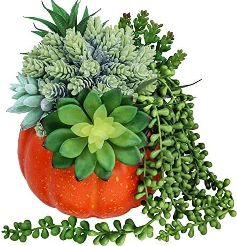 White Fall Pumpkin Centerpiece Artificial Succulent Pumpkin Arrangement With Assorted String Of Pearls Succulents For Fall Thanksgiving Gifts Home Wedding Table Mantel Windowsill Shelf Decor 7 White Fall Pumpkin Centerpiece Artificial Succulent Pumpkin Arrangement With Assorted String Of Pearls Succulents For Fall Thanksgiving Gifts Home Wedding Table Mantel Windowsill Shelf Decor - Image 7