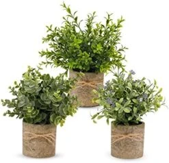 PENGYEE Artificial Plant, 3Pcs Mini Plants Artificial Potted Set Fake Green Grass Faux Plastic Green Rosemary Topiary Shrubs For Home Office Desk, Kitchen Counter Decoration -Green Leaf Store 519KYn81IjL. AC