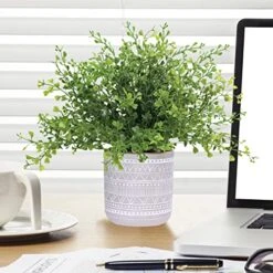 Set Of 3 Assorted Small Potted Plants Fake Eucalyptus Boxwood Plants And Aloe Succulent Plant In Gray Geometric Concrete Ceramic Pots For Gifts Home Kitchen Table Desk Indoor Outdoor Greenery Decor -Green Leaf Store 519c7yzRi6L