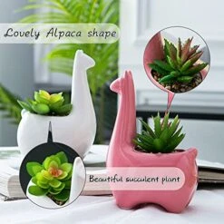 Tenforie Artificial Plant Pots, Ceramic Potted Artificial Succulent Decoration Alpaca Fake Plant Home Decor Tabletop Office Desk Outdoor Decoration - A 9 Tenforie Artificial Plant Pots, Ceramic Potted Artificial Succulent Decoration Alpaca Fake Plant Home Decor Tabletop Office Desk Outdoor Decoration - A -Green Leaf Store 519uQXL9MFS