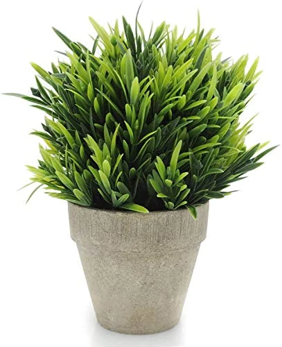 Velener Artificial Grass Potted Plant - Emerald Green Home Decor, Pumpkin Topiary Outdoor & Indoor Fall Plants Home Decor Accents, Coastal Kitchen, Countertops, Classroom, Farmhouse Christmas Decor 1 Velener Artificial Grass Potted Plant - Emerald Green Home Decor, Pumpkin Topiary Outdoor & Indoor Fall Plants Home Decor Accents, Coastal Kitchen, Countertops, Classroom, Farmhouse Christmas Decor
