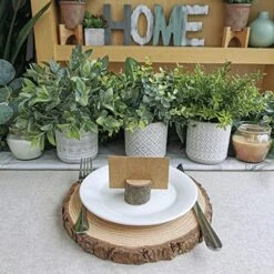 Set Of 3 Assorted Small Potted Plants Fake Eucalyptus And Rosemary Plants In Gray Geometric Concrete Ceramic Pots For Gifts Home Kitchen Office Shelf Table Desk Modern Indoor Outdoor Greenery Decor 8 Set Of 3 Assorted Small Potted Plants Fake Eucalyptus And Rosemary Plants In Gray Geometric Concrete Ceramic Pots For Gifts Home Kitchen Office Shelf Table Desk Modern Indoor Outdoor Greenery Decor -Green Leaf Store 519wUhVyoUL