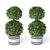 Barnyard Designs Set Of 2 (12.5") Artificial Boxwood Topiary Potted Plant Decorations, Mini Faux Fake Plant Greenery Arrangements In Pots For Office Desk Or Home Decor, 5.5" X 12.5" 12 Barnyard Designs Set Of 2 (12.5") Artificial Boxwood Topiary Potted Plant Decorations, Mini Faux Fake Plant Greenery Arrangements In Pots For Office Desk Or Home Decor, 5.5" X 12.5" -Green Leaf Store 519wjrBvOYL