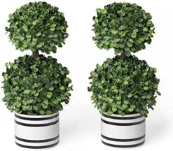 Barnyard Designs Set Of 2 (12.5") Artificial Boxwood Topiary Potted Plant Decorations, Mini Faux Fake Plant Greenery Arrangements In Pots For Office Desk Or Home Decor, 5.5" X 12.5" 14 Barnyard Designs Set Of 2 (12.5") Artificial Boxwood Topiary Potted Plant Decorations, Mini Faux Fake Plant Greenery Arrangements In Pots For Office Desk Or Home Decor, 5.5" X 12.5" -Green Leaf Store 519wjrBvOYL. AC
