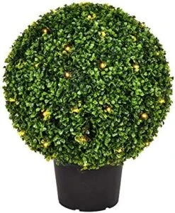 Vickerman Everyday 20 Inch Artificial Pre-Lit Boxwood Topiary Ball - UV Resistant Indoor Outdoor - Potted Natural Green - Home Patio Tabletop Faux Bush Decoration 5 Vickerman Everyday 20 Inch Artificial Pre-Lit Boxwood Topiary Ball - UV Resistant Indoor Outdoor - Potted Natural Green - Home Patio Tabletop Faux Bush Decoration -Green Leaf Store 51AETuAmxvL. AC