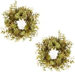 Factory Direct Craft Weatherproof Artificial Burgundy Eucalyptus Bushes - (2 Pieces) For Home Decor And Arrangements (16" H) -Green Leaf Store 51AK5UHbaeL. AC