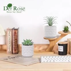 Der Rose 2 Packs Fake Plants Artificial Succulents Plants In Pots For Home Boho Decor Indoor 9 Der Rose 2 Packs Fake Plants Artificial Succulents Plants In Pots For Home Boho Decor Indoor -Green Leaf Store 51AUVSVg6qL
