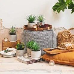 Kurrajong Farmhouse Faux Plant In Pot - 8" X 4.5" | Beautiful Faux Succulent Plant Decor | Artificial Succulent Plants | Faux Plants Indoors -Green Leaf Store 51B19Gz79aL