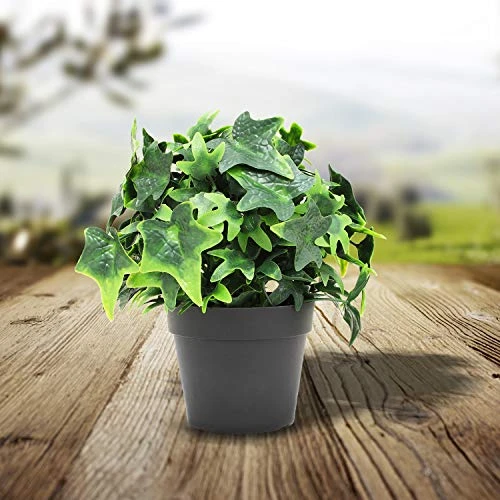 FLORALEAF Artificial Plants Small Fake Plant Green Topiaries Potted Décor Plastic Flowers Plant For Home Office Farmhouse Bathroom Tabletop Indoor Décor Ivy Flower, 19 Packs 1 FLORALEAF Artificial Plants Small Fake Plant Green Topiaries Potted Décor Plastic Flowers Plant For Home Office Farmhouse Bathroom Tabletop Indoor Décor Ivy Flower, 19 Packs