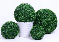 OOKi- 7 Inch Artificial Boxwood Ball Topiary Lifelike Plants Half Round Topiary For Home Garden, Front Patio, Planter, Deck, Backyard Indoor/Outdoor Decore, Rose Leaf (7 Inch) -Green Leaf Store 51BenTU7GWL 1