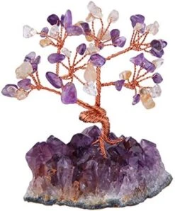 Mookaitedecor Amethyst Crystal Tree, Amethyst Cluster Crystals Base Bonsai Money Tree For Wealth And Luck -Green Leaf Store 51BjgwghRL. AC