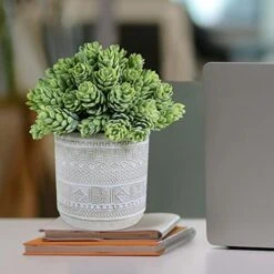 Set Of 3 Assorted Small Potted Succulent Plants Fake Aloe String Of Pearls Hops Succulents In Gray Geometric Concrete Ceramic Pots For Gifts Modern Home Office Desk Table Indoor Outdoor Greenery Decor 11 Set Of 3 Assorted Small Potted Succulent Plants Fake Aloe String Of Pearls Hops Succulents In Gray Geometric Concrete Ceramic Pots For Gifts Modern Home Office Desk Table Indoor Outdoor Greenery Decor -Green Leaf Store 51Bk7yg2DuL