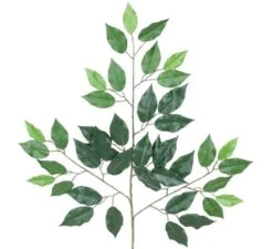 Arcadia Silk Plantation Four Dozen (48 Pieces) Of 24" Artificial Ficus Spray With A Total Of 2016 Leaves
