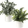 Briful Mini Fake Plants Set Of 2 Small Faux Plant Eucalyptus Rosemary Greenery Potted Plants Artificial Decor For Home Table Office Room Desk Bathroom Shelf Kitchen Farmhouse Mantel Decoration 11 Briful Mini Fake Plants Set Of 2 Small Faux Plant Eucalyptus Rosemary Greenery Potted Plants Artificial Decor For Home Table Office Room Desk Bathroom Shelf Kitchen Farmhouse Mantel Decoration -Green Leaf Store 51DcfQzDdyL