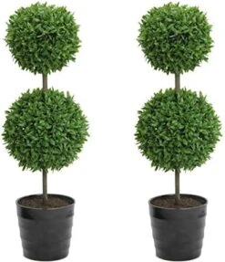 Admired By Nature Tabletop English Artificial Boxwood, Green (GTR7680-GREEN-2) -Green Leaf Store 51DoCXI GqL. AC