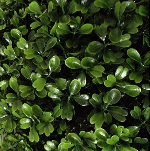 VOPVZVKO Two Artificial Outdoor 4' Spiral Boxwood Topiary UV Rated! Free Returns! 2 VOPVZVKO Two Artificial Outdoor 4' Spiral Boxwood Topiary UV Rated! Free Returns! - Image 2