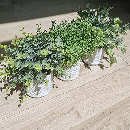 Set Of 3 Assorted Small Potted Plants Fake Eucalyptus And Rosemary Plants In Gray Geometric Concrete Ceramic Pots For Gifts Home Kitchen Office Shelf Table Desk Modern Indoor Outdoor Greenery Decor 6 Set Of 3 Assorted Small Potted Plants Fake Eucalyptus And Rosemary Plants In Gray Geometric Concrete Ceramic Pots For Gifts Home Kitchen Office Shelf Table Desk Modern Indoor Outdoor Greenery Decor - Image 6