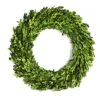BoxwoodValley Preserved Boxwood Wreath 16 Inch Year Round Green Wreath For Halloween, Christmas Wreath Decor Green Garland For Indoor Green Autumn Wreath Decor (16 Inch) -Green Leaf Store 51E4YxtS73L