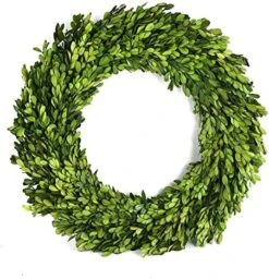 BoxwoodValley Preserved Boxwood Wreath 16 Inch Year Round Green Wreath For Halloween, Christmas Wreath Decor Green Garland For Indoor Green Autumn Wreath Decor (16 Inch) 18 BoxwoodValley Preserved Boxwood Wreath 16 Inch Year Round Green Wreath For Halloween, Christmas Wreath Decor Green Garland For Indoor Green Autumn Wreath Decor (16 Inch) -Green Leaf Store 51E4YxtS73L. AC