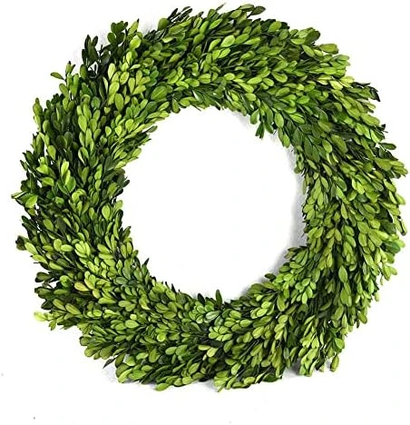 BoxwoodValley Preserved Boxwood Wreath 16 Inch Year Round Green Wreath For Halloween, Christmas Wreath Decor Green Garland For Indoor Green Autumn Wreath Decor (16 Inch) 7 BoxwoodValley Preserved Boxwood Wreath 16 Inch Year Round Green Wreath For Halloween, Christmas Wreath Decor Green Garland For Indoor Green Autumn Wreath Decor (16 Inch) - Image 7