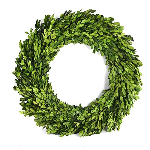 BoxwoodValley Preserved Boxwood Wreath 16 Inch Year Round Green Wreath For Halloween, Christmas Wreath Decor Green Garland For Indoor Green Autumn Wreath Decor (16 Inch) 1 BoxwoodValley Preserved Boxwood Wreath 16 Inch Year Round Green Wreath For Halloween, Christmas Wreath Decor Green Garland For Indoor Green Autumn Wreath Decor (16 Inch)