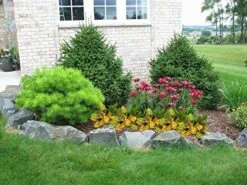 Artificial Croton Plant Leaf Branches Lifelike Tropical Houseplant Bush Stems For Home Office Decoration (Green - Pack Of 4) -Green Leaf Store 51E4qvgZItL