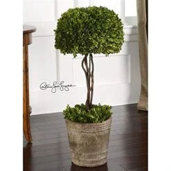 Beaumont Lane Tree Topiary Preserved In Natural Evergreen -Green Leaf Store 51EE6SDDt4L