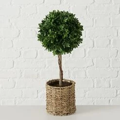 WHW Whole House Worlds Realistic Faux Potted Boxwood Ball Topiary Tree, Rattan Basket Planter, 17 Inches Tall, Weighted Bottom, French Country Style -Green Leaf Store 51EdzvRRzDL