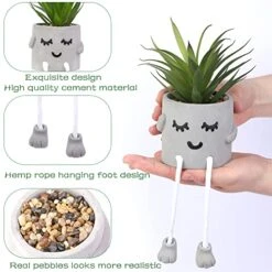 Iuuidu Artificial Potted Plant, Faux Succulent In Pot Emotional Cement Potted Plant Animated Artificial Succulents Decor For Home Living Room Bedroom And Office（Shy） -Green Leaf Store 51ElAOFjw6L