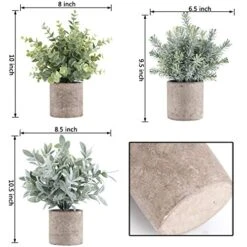 ROMAY 3 Pack Mini Potted Artificial Plants Fake Eucalyptus Greenery In Pots For Home Office Desk Decor -Green Leaf Store 51Eoh0vxzNL