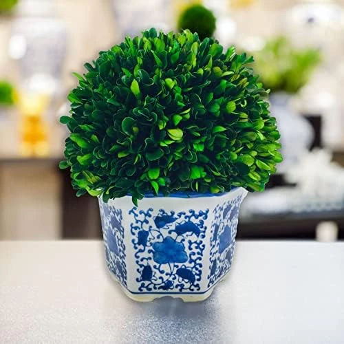 Galt International 7" Preserved Natural Boxwood In Ceramic Pot - Plant And Table Centerpiece - Stunning Greenery And Plant Decor For Home - Blue & White (Small 7" Tall Topiary) 6 Galt International 7" Preserved Natural Boxwood In Ceramic Pot - Plant And Table Centerpiece - Stunning Greenery And Plant Decor For Home - Blue & White (Small 7" Tall Topiary) - Image 6