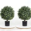 Momoplant (1.8FT- 22Inches ) Artificial Topiaries Trees For Outdoors Set Of 2 Potted Bushes Home Decor Artificial Topiariy Trees For Front Porch 16 Momoplant (1.8FT- 22Inches ) Artificial Topiaries Trees For Outdoors Set Of 2 Potted Bushes Home Decor Artificial Topiariy Trees For Front Porch -Green Leaf Store 51FaS5SoE2L