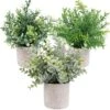OUTLEE 3 Pack Mini Artificial Potted Plants Faux Eucalyptus Plants Boxwood Rosemary Greenery In Pots Small Houseplants For Home Decor Office Desk Shower Room Decoration
