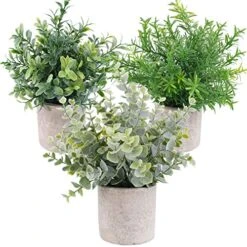 OUTLEE 3 Pack Mini Artificial Potted Plants Faux Eucalyptus Plants Boxwood Rosemary Greenery In Pots Small Houseplants For Home Decor Office Desk Shower Room Decoration