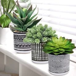 Winlyn Set Of 3 Assorted Small Potted Succulents Arrangement Artificial Succulent Plants In Black And White Geometric Pots For Table Centerpiece Windowsill Shelf Indoor Outdoor Garden Greenery Decor -Green Leaf Store 51G4beLwOXL