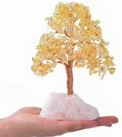 KALIFANO Premium Natural Tree Of Life (414 Gemstone Count) Chakra Crystal Tree With Rose Quartz Base With Healing Properties - Bonsai Feng Shui Money Tree For Healing And Luck 18 KALIFANO Premium Natural Tree Of Life (414 Gemstone Count) Chakra Crystal Tree With Rose Quartz Base With Healing Properties - Bonsai Feng Shui Money Tree For Healing And Luck -Green Leaf Store 51G7Rp2NsXS. AC