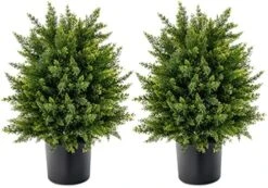 BECOMFORT 22'' Artificial Cedar Topiary Tree 2 Pack, Faux Shrub Brush Potted Tree Set With Cement Pot, Fake Greenery Decorative Potted Plants For Indoor Outdoor Use (Cedar Tree) -Green Leaf Store 51GIQkzgrbL. AC