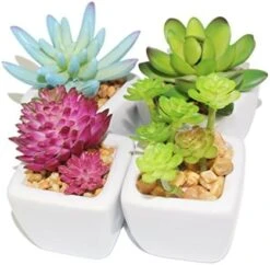 Myartte Artificial Succulent Plants Fake Succulents Mini Faux Plants For Home/Office Docor (Resin Pots) … -Green Leaf Store 51GZGWy7QxL. AC