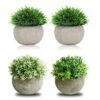 THE BLOOM TIMES 4 Packs Mini Potted Fake Plants For Bathroom/Home Office Decor, Small Artificial Plants In Pots Faux Greenery For House Decorations 10 THE BLOOM TIMES 4 Packs Mini Potted Fake Plants For Bathroom/Home Office Decor, Small Artificial Plants In Pots Faux Greenery For House Decorations -Green Leaf Store 51H787MFUPL