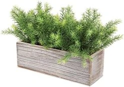 PLANT Artificial Wooden Potted Rosemary Faux Greenery In Wood Planter Box S For Rustic Farmhouse Centerpiece Tabletop Kitchen Shelf Decor -Green Leaf Store 51HFupgNq S. AC