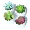 Myartte Artificial Succulent Plants Fake Succulents Mini Faux Plants For Home/Office Docor (Resin Pots) … -Green Leaf Store 51HqD6TgPgL