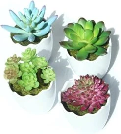 Myartte Artificial Succulent Plants Fake Succulents Mini Faux Plants For Home/Office Docor (Resin Pots) … -Green Leaf Store 51HqD6TgPgL. AC