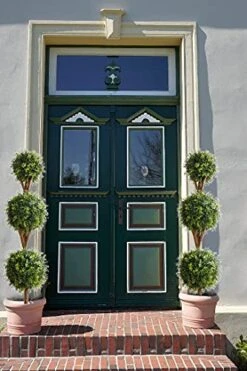 Momoplant 5ft Boxwood Topiary Artificial Tree Outdoor 59 Inches Faux Topiaries Trees Shaped Boxwood Trees Artificial Garden Home Office Décor Gift 2 Pack 11 Momoplant 5ft Boxwood Topiary Artificial Tree Outdoor 59 Inches Faux Topiaries Trees Shaped Boxwood Trees Artificial Garden Home Office Décor Gift 2 Pack -Green Leaf Store 51HxSPc26eS