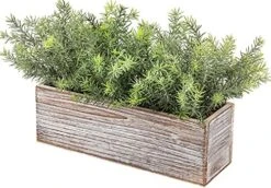 PLANT Artificial Wooden Potted Rosemary Faux Greenery In Wood Planter Box S For Rustic Farmhouse Centerpiece Tabletop Kitchen Shelf Decor -Green Leaf Store 51HyFMCKVYS. AC