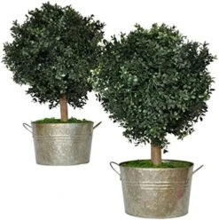 Tin Roof Interiors 24" Tall Artificial Boxwood Shrubs (2), Includes Galvanized Metal Pot, Outdoor Ready, Natural Looking Fake Potted Shrubs -Green Leaf Store 51HyvjylMuL. AC