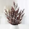 Factory Direct Craft Weatherproof Artificial Burgundy Eucalyptus Bushes - (2 Pieces) For Home Decor And Arrangements (16" H) -Green Leaf Store 51IMNB74MML