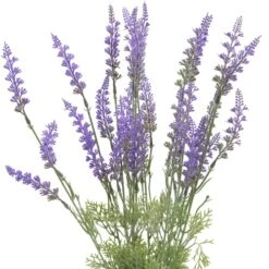 SN Decor Season’s Need 2Pc Artificial Lavender Flowers For Outdoor Decoration, UV Resistant Fake Shrubs Greenery Bushes House Office Patio Indoor Décor (20” Tall Lavender Bush) -Green Leaf Store 51IU3otl2aL